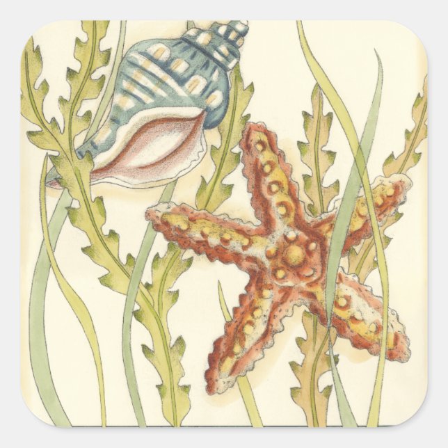 Sticker Carré Partie Shell multicolore (Devant)