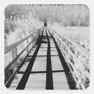 Sticker Carré Passerelle de Corkscrew Swamp Sanctuary, Floride,