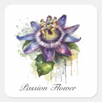 Passionné Purple Passion Fleur