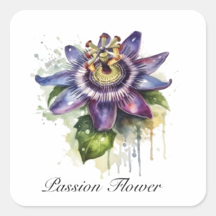 Sticker Carré Passionné Purple Passion Fleur