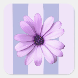 Sticker Carré Pastel rayures motif avec marguerites
