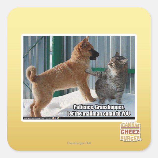 Sticker Carré Patience, sauterelle. (Devant)