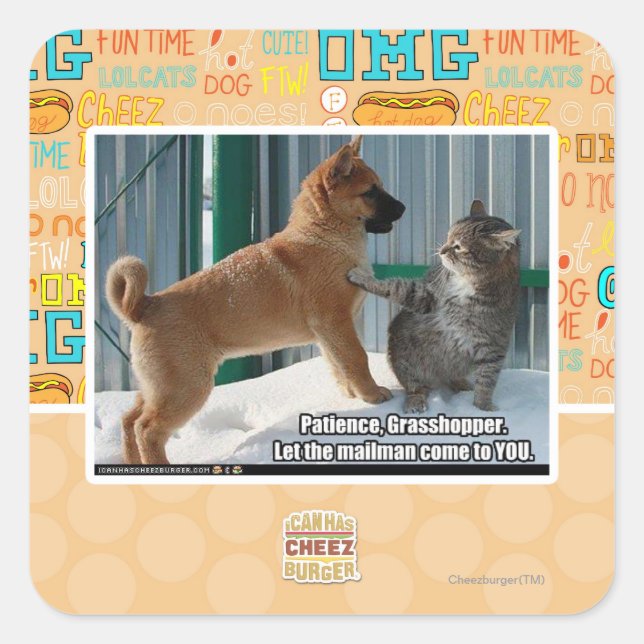 Sticker Carré Patience, sauterelle. (Devant)