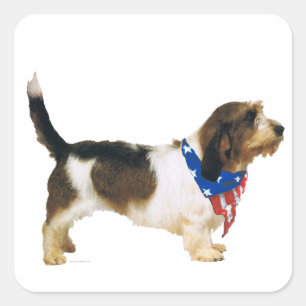 Sticker Carré Patriotic Petit Basset Griffon