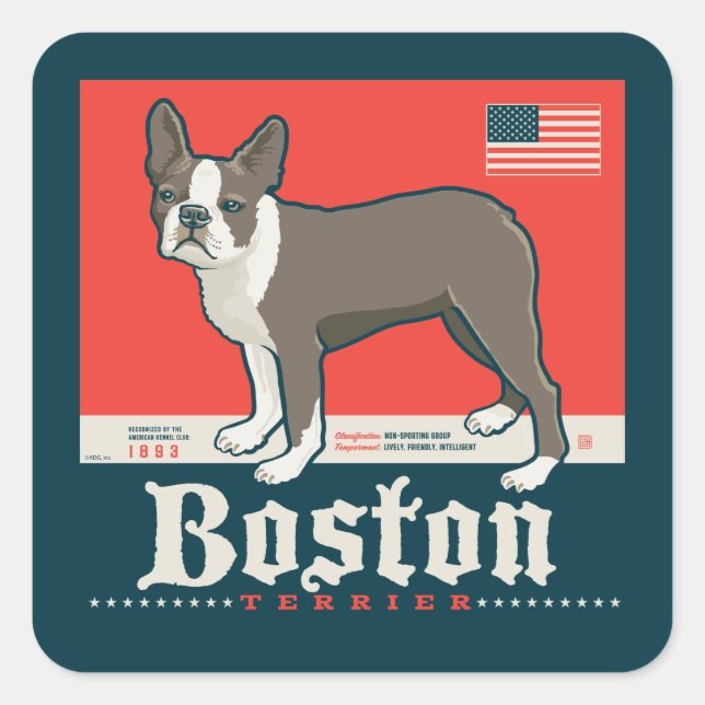 Sticker Carré Patriotique | Boston Terrier (Devant)