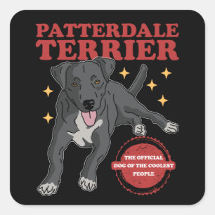 Sticker Carré Patterdale Terrier Chien Des Patterdales Les Plus
