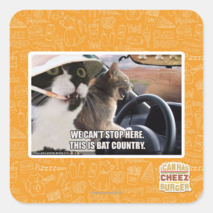 Sticker Carré Pays chauve