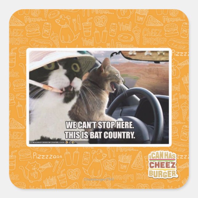 Sticker Carré Pays chauve (Devant)