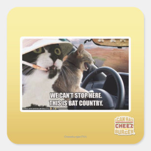 Sticker Carré Pays de batte