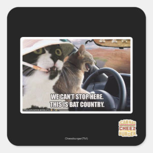 Sticker Carré Pays de batte