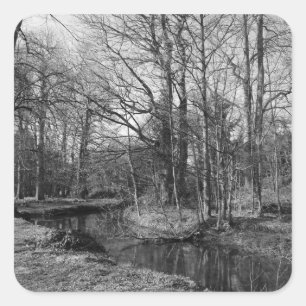 Sticker Carré Paysage du parc - Bute Park, Cardiff