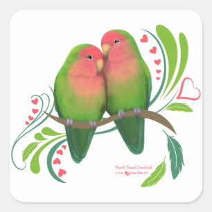 Sticker Carré Peach Faced Inséparables