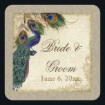 Sticker Carré Peacock & Feathers Formal Wedding Favor Seals Tags<br><div class="desc">PALETTE DE COULEUR : taupe, bleu aqua, bronze, bleu roi crème, vert et rouille. DESIGN : Ces autocollants peuvent être utilisés à de nombreuses fins pour rendre votre célébration mariage extra spécial pour très peu de coût. Utilisez-les comme toppers de cupcake pour les douches nuptiales (utilisez simplement un carton légèrement...</div>