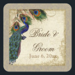 Sticker Carré Peacock & Feathers Formal Wedding Favor Seals Tags<br><div class="desc">PALETTE DE COULEUR : taupe, bleu aqua, bronze, bleu roi crème, vert et rouille. DESIGN : Ces autocollants peuvent être utilisés à de nombreuses fins pour rendre votre célébration mariage extra spécial pour très peu de coût. Utilisez-les comme toppers de cupcake pour les douches nuptiales (utilisez simplement un carton légèrement...</div>