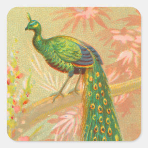 Sticker Carré Peacock vintage et peinture à fleurs