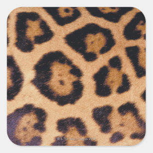 Sticker Carré Peau de léopard