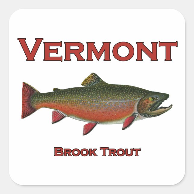 Sticker Carré Pêche du Vermont - Truite de ruisseau (Devant)