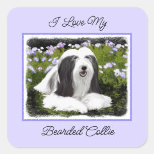 Sticker Carré Peinture à collie à poils - Joli art original de c
