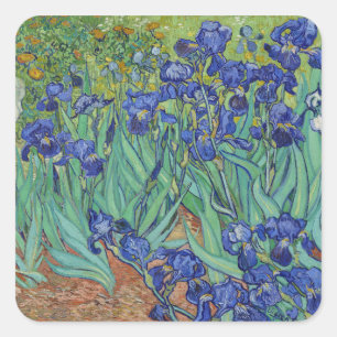 Sticker Carré Peinture à l'huile florale Les Iris bleus célèbres