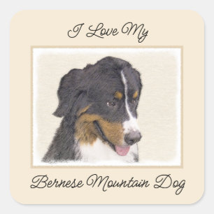 Sticker Carré Peinture bernoise de chien de montagne - Art origi