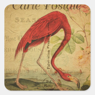 Sticker Carré Peinture de Carte Postale Vintage Flamant Rose
