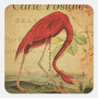 Sticker Carré Peinture de Carte Postale Vintage Flamant Rose