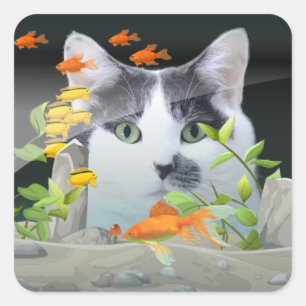 Sticker Carré Peinture de chat personnalisée dans un réservoir