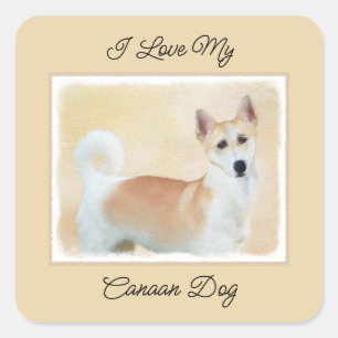 Sticker Carré Peinture de chien de Canaan - jolie art original d