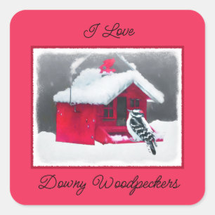 Sticker Carré Peinture Downy Woodpecker - Art original pour oise