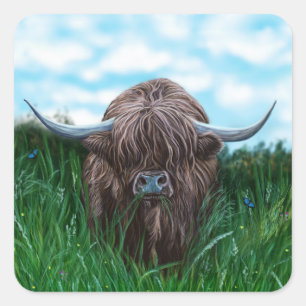 Sticker Carré Peinture écossaise de la vache des Highlands