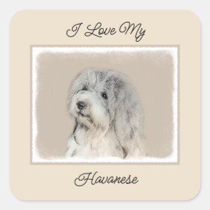 Sticker Carré Peinture Havanaise (Gold Sable) - Art Chien origin