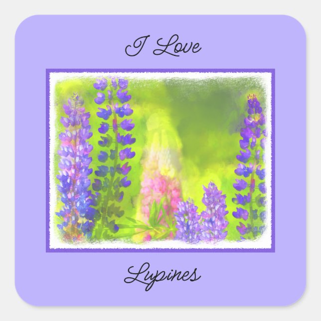Sticker Carré Peinture Lupine - Art Fleur Original (Devant)