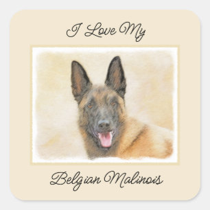Sticker Carré Peinture Malinoise belge - Cute Original Chien Art