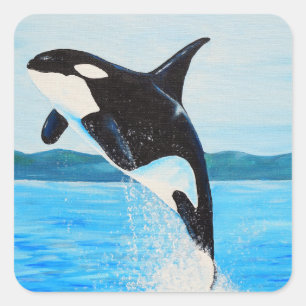 Sticker Carré Peinture Orca