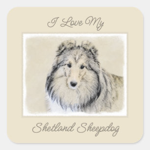 Sticker Carré Peinture Shetland Sheepdog - Jolie art original ch