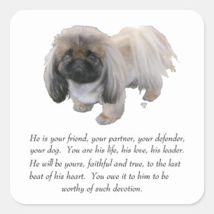 Sticker Carré Pekingese Keepsaké - MALE