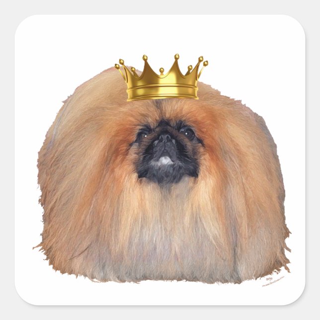 Sticker Carré Pekingese King (Customisez si vous le souhaitez !) (Devant)