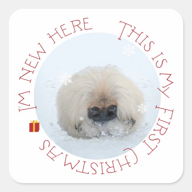 Sticker Carré Pékinois premier Noël (Devant)