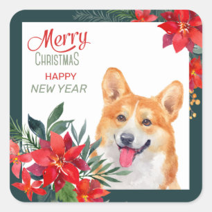 Sticker Carré Pembroke Welsh Corgi Poinsettia Bouquet Noël 