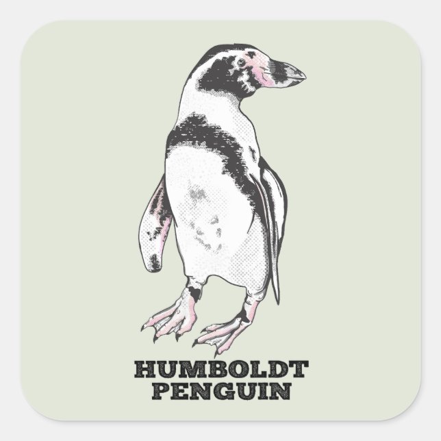 Sticker Carré Penguin de Humboldt (Devant)