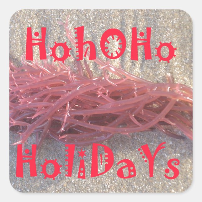 Sticker Carré Père Noël HoHoHo Joyeux Noël des couleurs de la pl (Devant)