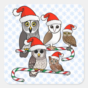 Sticker Carré Père Noël Owls