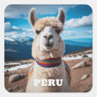 Pérou Llama