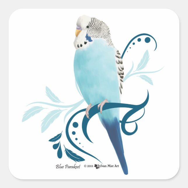 Sticker Carré Perruche bleue (Devant)