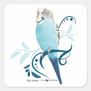 Sticker Carré Perruche bleue