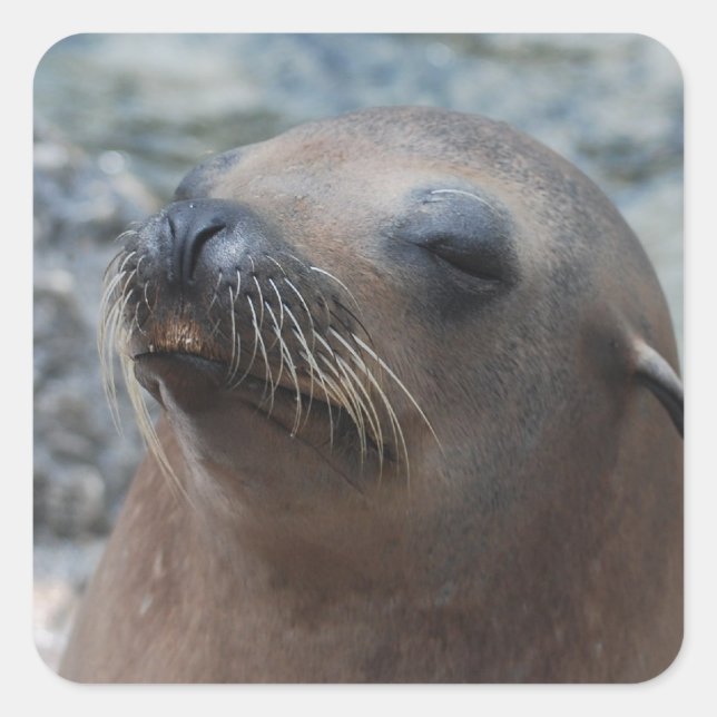 Sticker Carré Personnaliser (Devant)