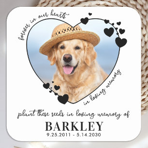 Sticker Carré Pet Memorial Seed Packet Heart Custom Chien Photo