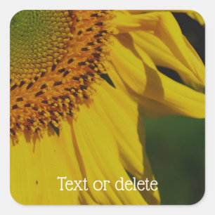Sticker Carré Pétales de tournesol Fleur personnalisée