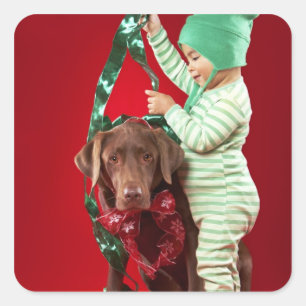 Sticker Carré Petit garçon décorant un chien