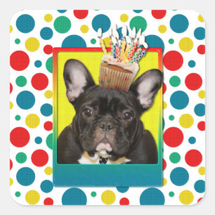 Sticker Carré Petit gâteau d'anniversaire - bouledogue françai